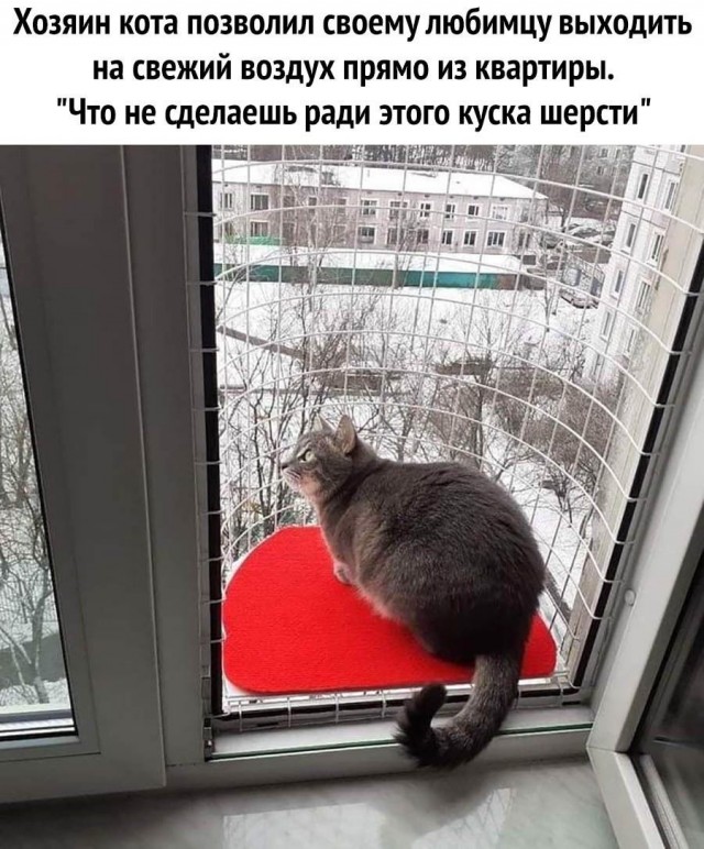 Так себе картинки 22.03.25
