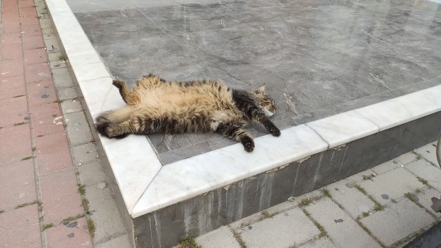 Прикольные и просто красивые картинки 16.05.2025