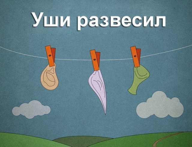 Смешные картинки с надписями и орел в шапке