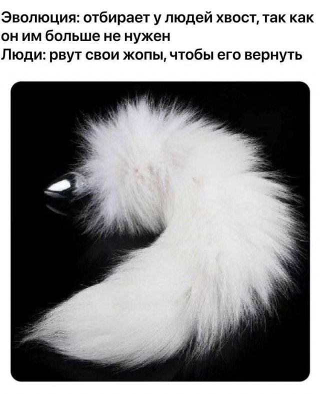 Забавные и не очень скромные картинки - 4