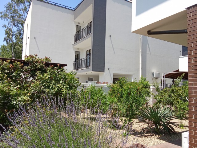 Очередь на Крымском мосту растянулась на 10 километров — туристы часами стоят в пробке