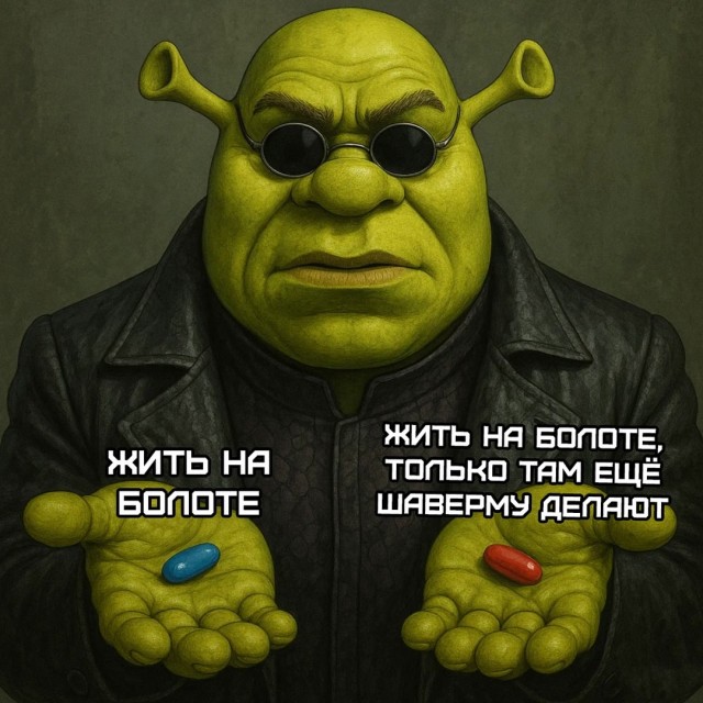 Весёлый полтишок 08.07.25