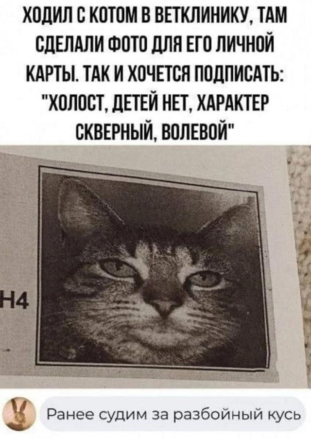 Так себе картинки 10.08.25