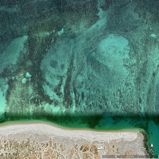 Пляж мёртвых в Мексике