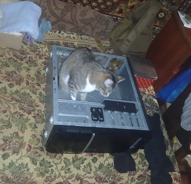 Ну а кто это не любит коробки