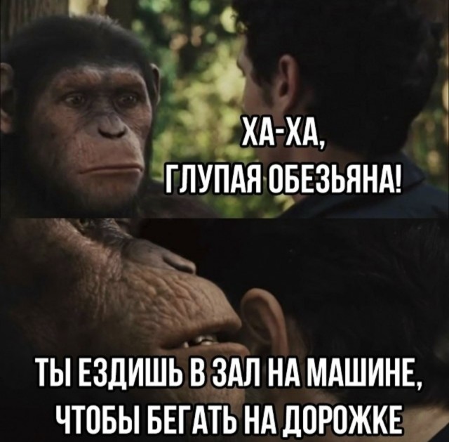Картинки для деградации 103 (разной степени свежести)