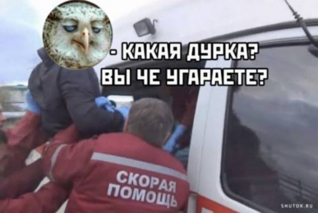 Больше никаких «палок-пихалок»