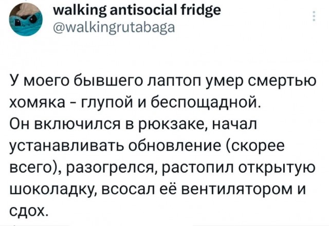 Субботние картинки