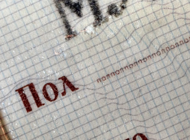 Чел случайно раскрыл секрет российского паспорта камерой смартфона