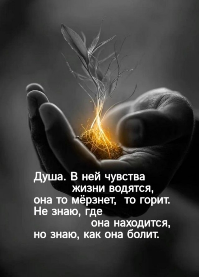 Прикольные и просто красивые картинки 24.07.2026
