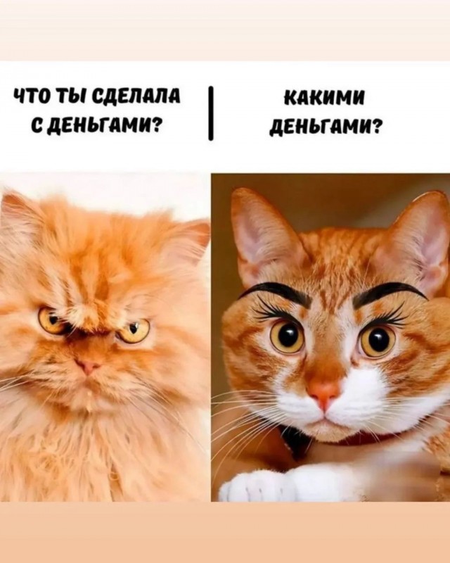Веселые картинки в пятницу (16.10)