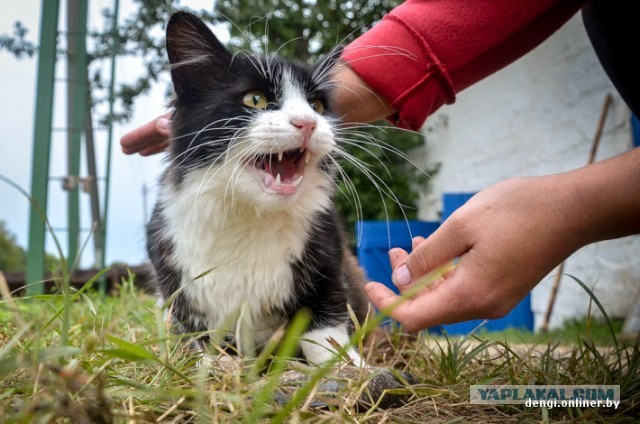 Ловцы грез: репортаж из белорусского рыбхоза
