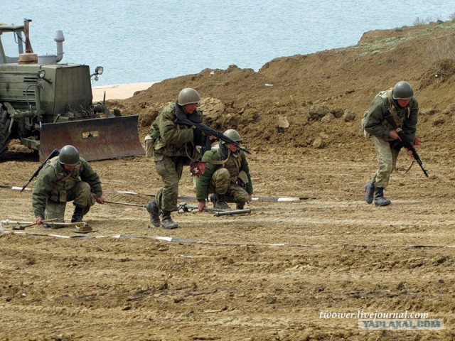 810-я отдельная бригада морской пехоты