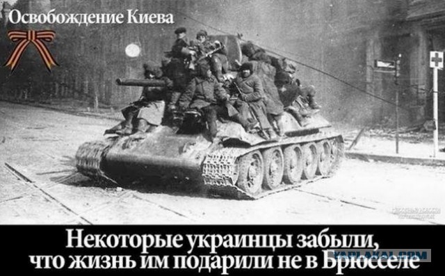 В Киеве проходит выставка «Убей колорада!