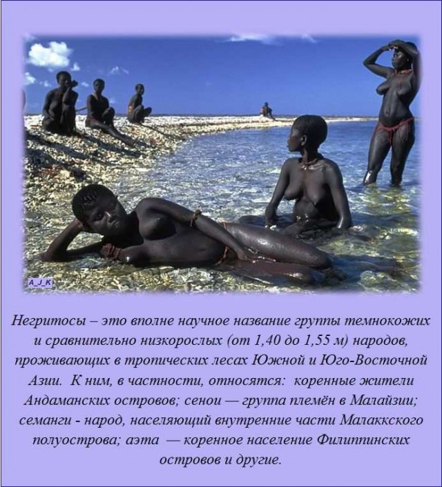 20 фактов обо всем