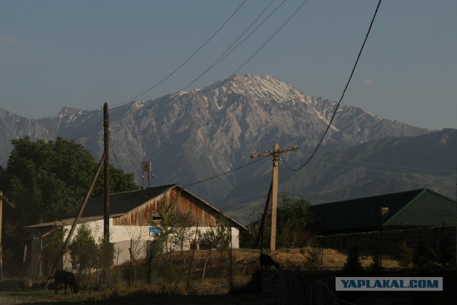 ЧИРЧИК
