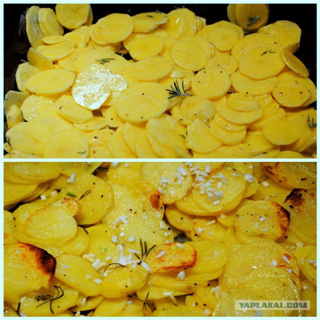 По следам прославленных кулинаров, День повара – 20 октября.