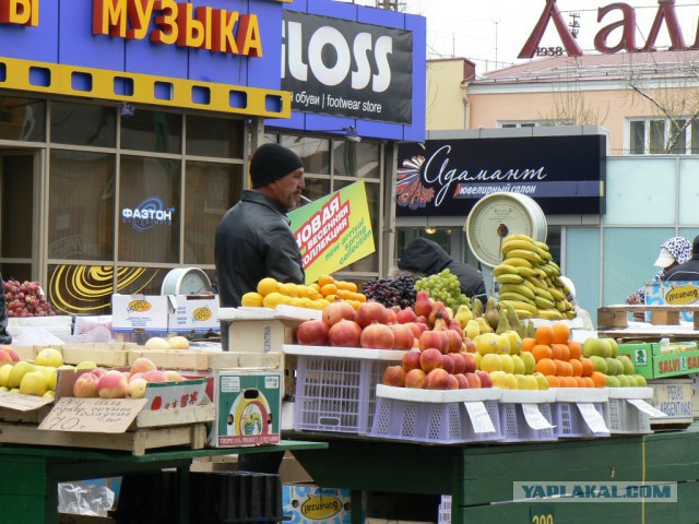Приключения американцев в России/Монголии