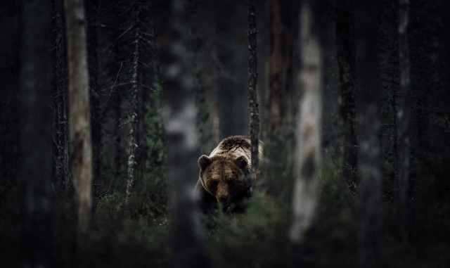 National Geographic: лучшие фото путешественников