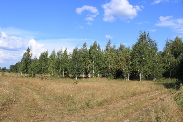 Россия