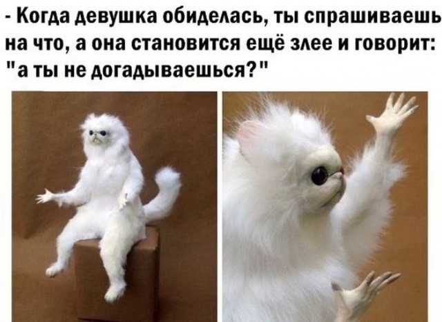 Подборка фотоприколов