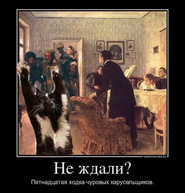 Фотожаба: «Сдающаяся» кошка