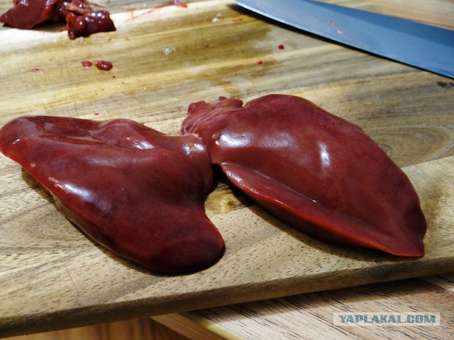 Психокулинария. День открытых дверей.