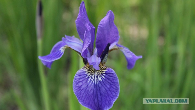 Подборка интересных и веселых картинок
