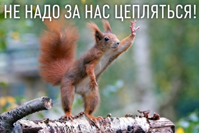 Пора вари... валить бетон! "Альты", шах и мат!