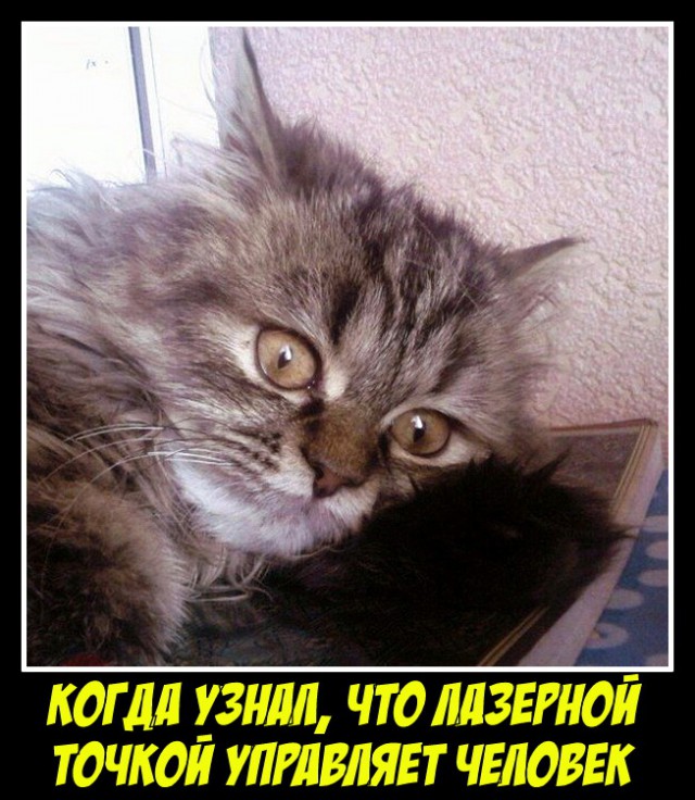 Картинки, интересные и веселые