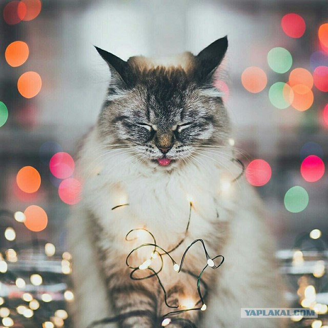 Подборка картинок