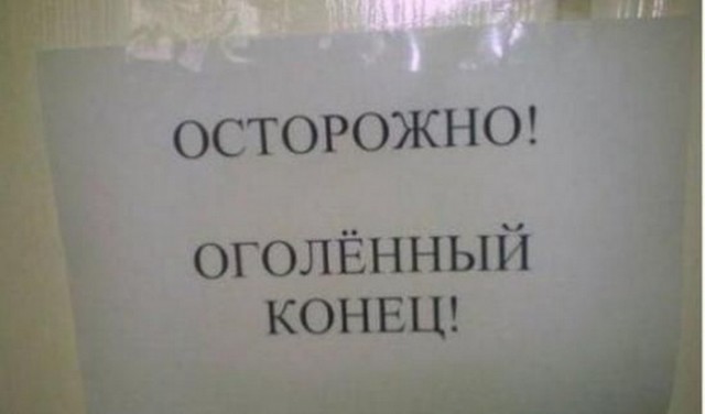 Подборка безудержного веселья