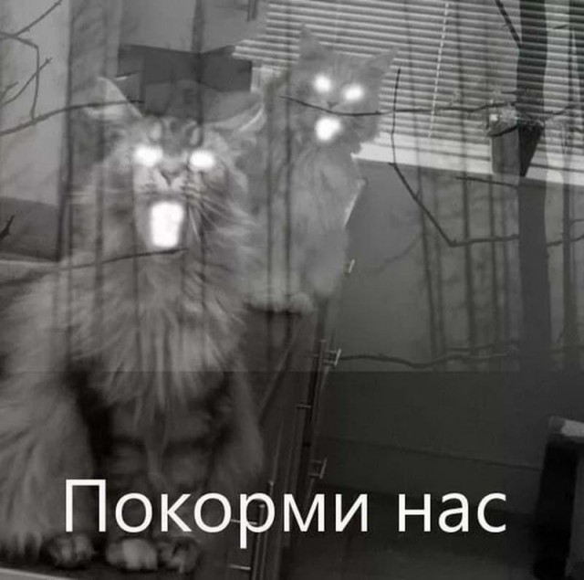 Слегка чёрный и циничный понедельник