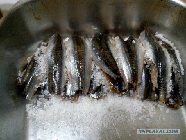 Анчоусы и бонус с ними.
