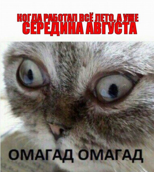 Немного деграданса - 10