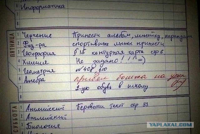 Замечания в дневниках