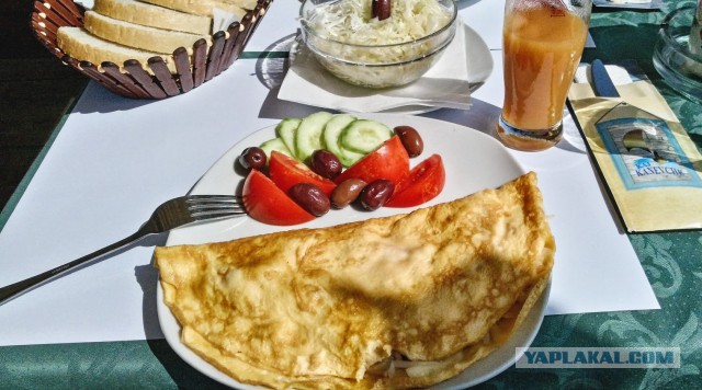 Македония: среди гор и котов