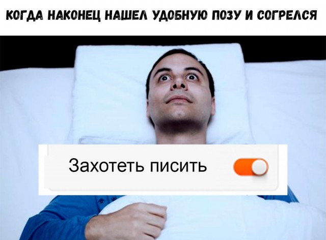 О животных и жывотных