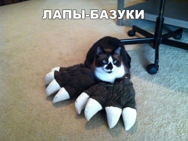 Нестандартный юмор