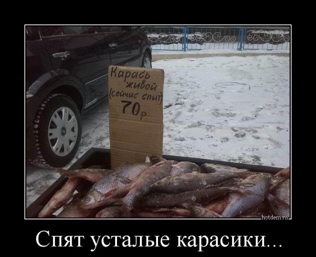 Подборка интересных и веселых картинок
