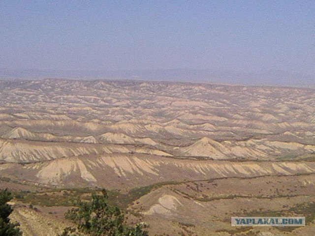 Командировка. В леса