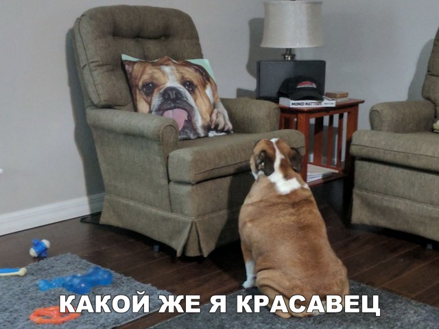 Нестандартный юмор