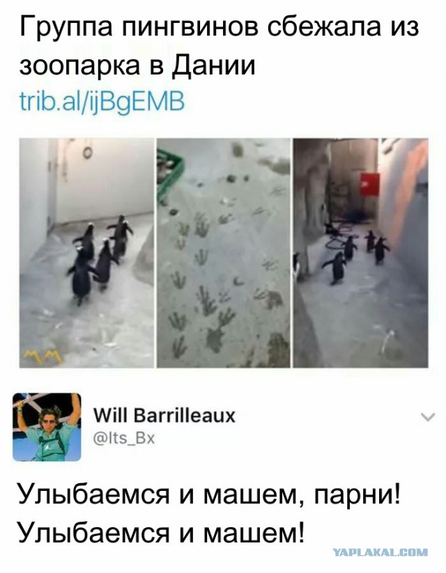 Немного картинок на вечер
