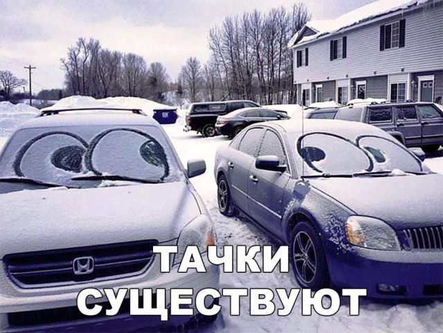 Прикольные картинки абавсём