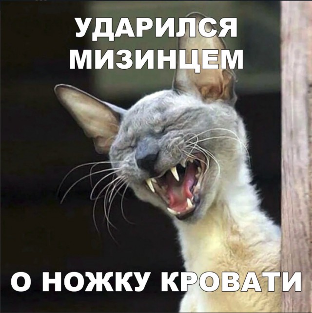 Нестандартный юмор
