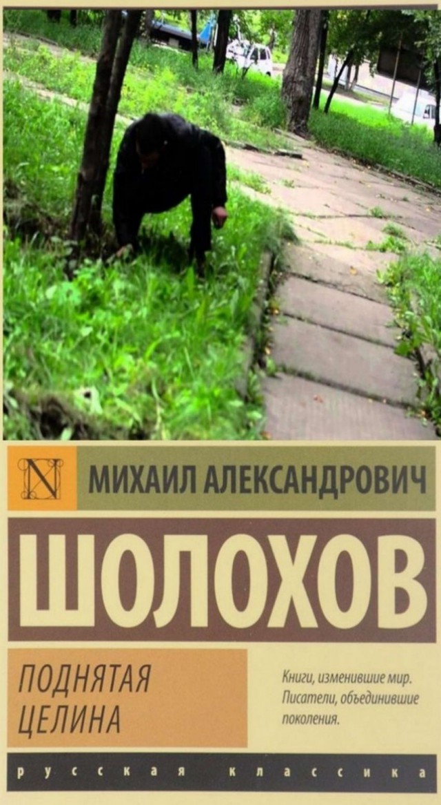 Скотсети и прочие интернеты 25.04.2019
