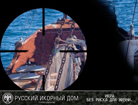 Конкурс на лучшую фотожабу против браконьеров.
