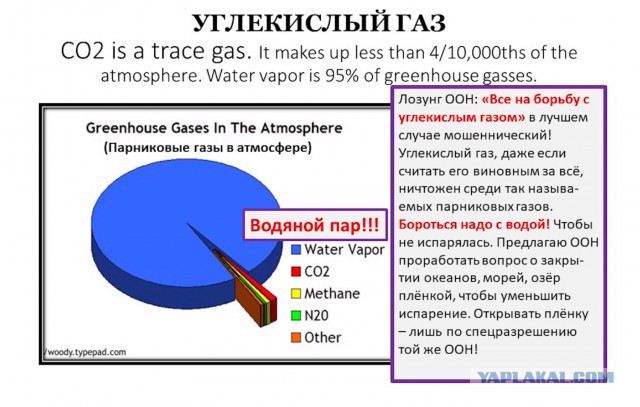 Вопрос: Как вот эта вот бесноватая девочка проникла на саммит ООН?
