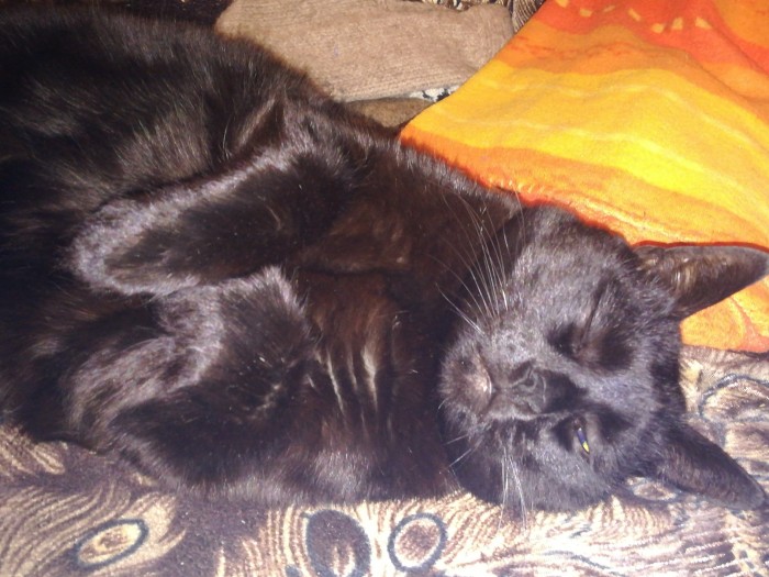 Paзнoвиднocти тьмы