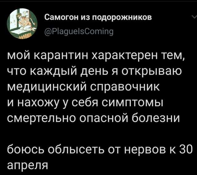 Немного картинок для настроения 06.04.20